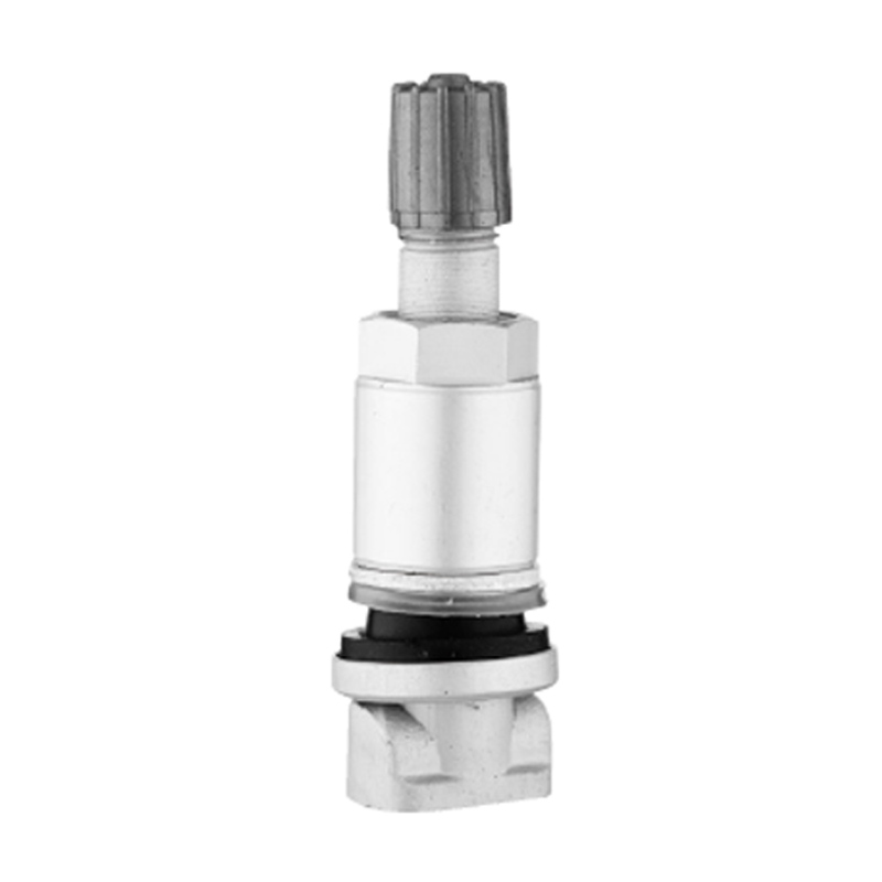 TPMS-kleppen-TPMS-01