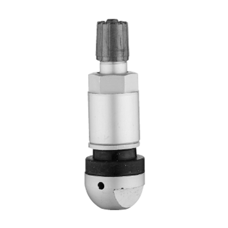 TPMS-kleppen-TPMS-05