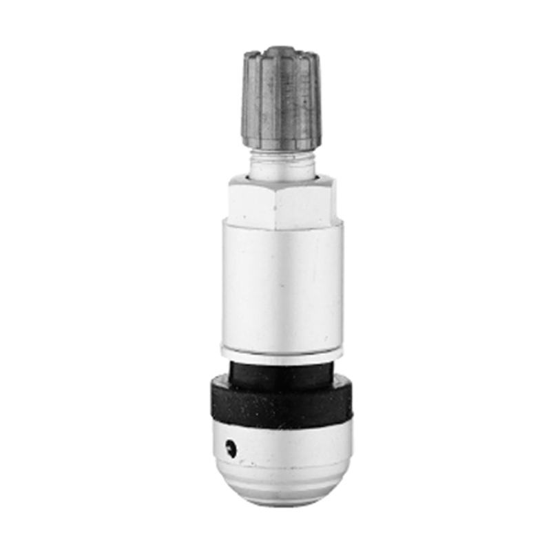 TPMS-kleppen-TPMS-09